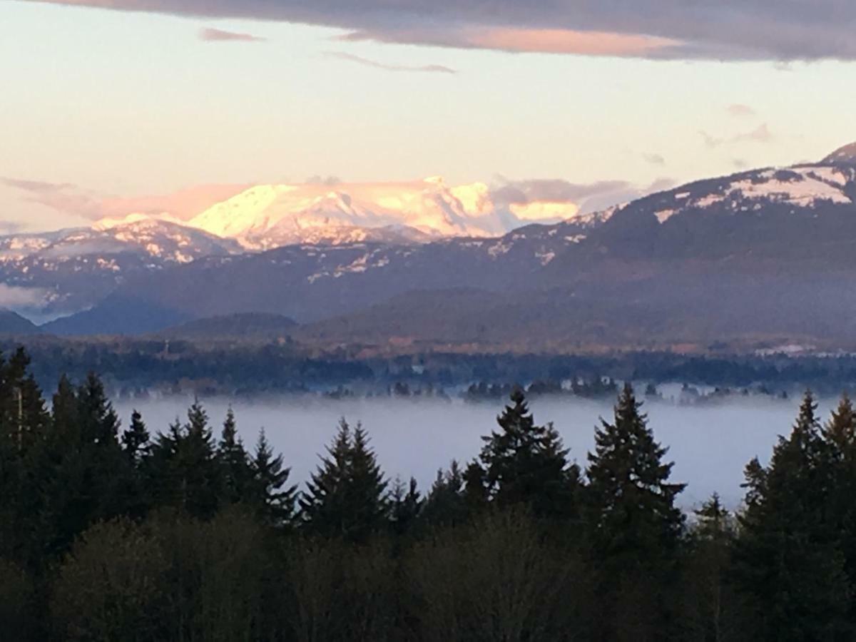 Glacier View Vacation Rental Courtenay Exterior foto